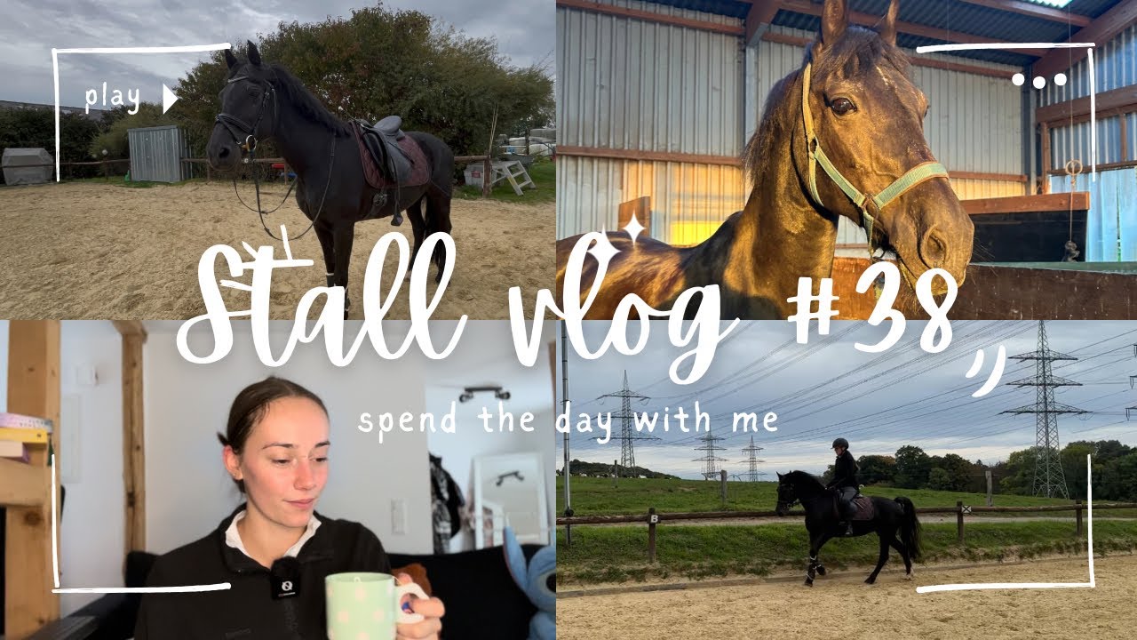 Stall Vlog #38 - Normaler Stalltag und aktuelles Fazit über den Umzug💗🐴