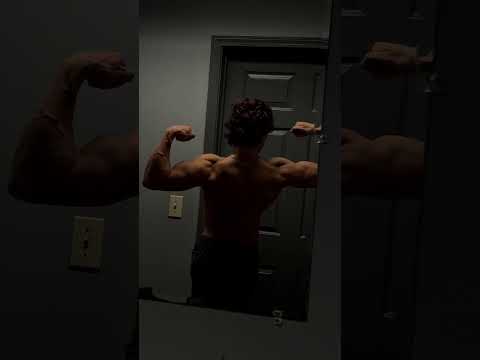 Shred files (05)