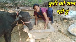 कट शन रह ह आजVlogsvlogviral Vlog