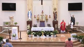 Live Mass