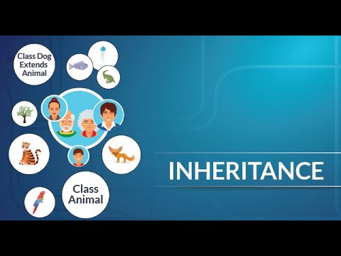 Single inheritance in java | Run with eclipse IDE - YouTube