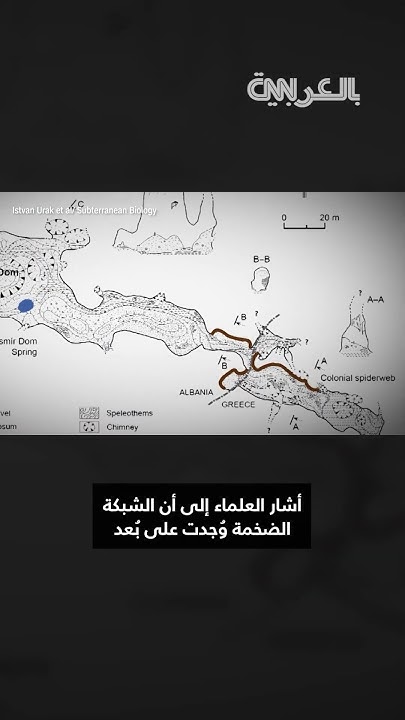       ..    
 - نشر قبل 29 دقيقة