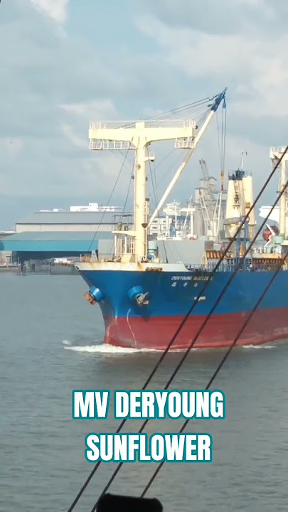 MV DERYOUNG SUNFLOWER SPOTTED | GENERAL CARGO SHIP