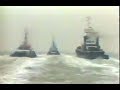 Hollandse & Belgische Bergers - Sleepboot oorlog (tug war) op de Westerschelde