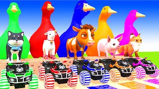 5 Giant Duck, Monkey, Lion, chicken, Zebra, Sheep, Transfiguration funny animal 2023