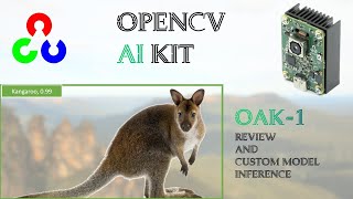 OpenCV AI Kit OAK-1 Review and Custom Model Inference