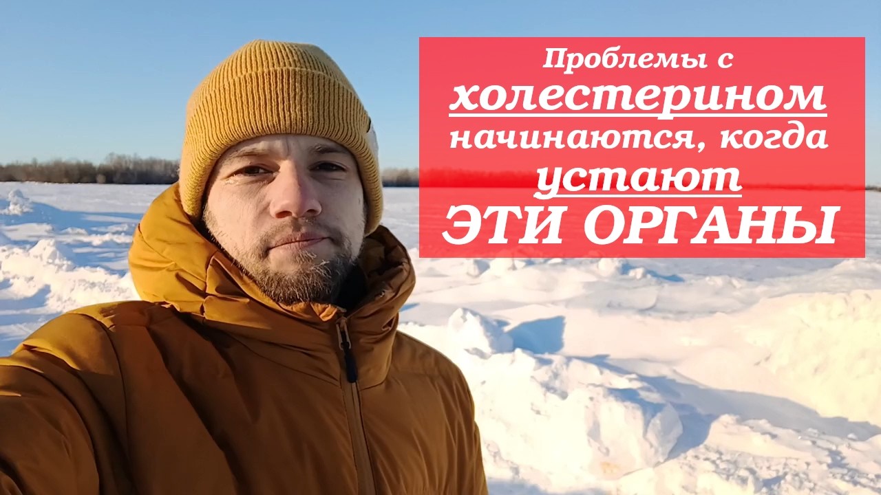 Печень контролируется этим органом! Пример взаимозависимости гормонов в организме