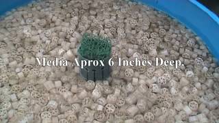 Brand New DIY Pond Filter System That's So Easy to Clean. 2014