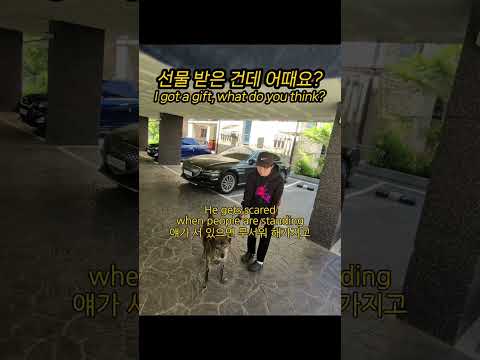 (노광고) 선물받은 옷이 너무 이뻐서 자랑하고 다님ㅋㅋ