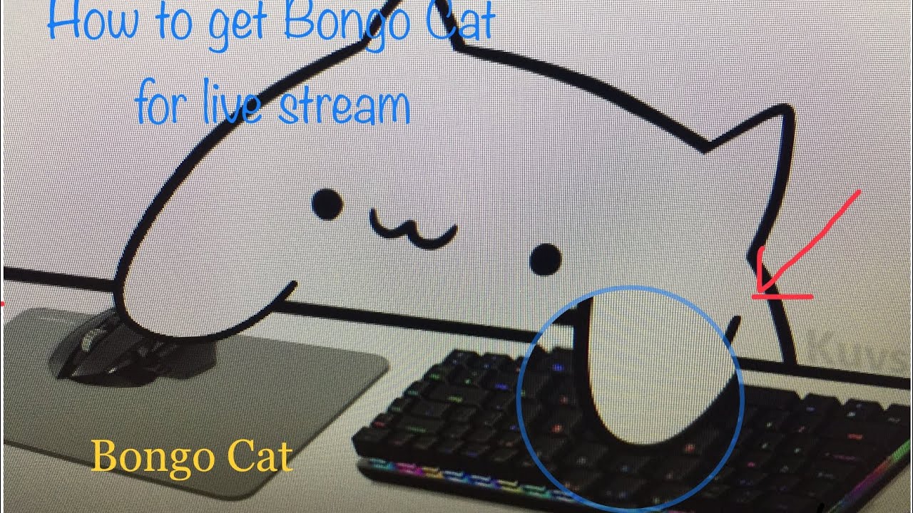 How To Get The Bongo Cat For Your Live Stream!!!!! YouTube