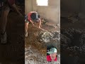 Watching This Dude Work Makes Me TiredЁЯШ Watching This Dude Work Makes Me TiredЁЯШ
