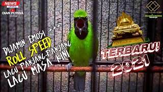 LAGU PANJANG❗DURASI PANJANG LAGU CUCAK IJO GACOR ROLL SPEED MASA KINI🔥BANYAK DICARI KICAUMANIA