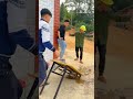 Two friend kinfunny comedy video Canies in very funny 🤣 free download now ￼
