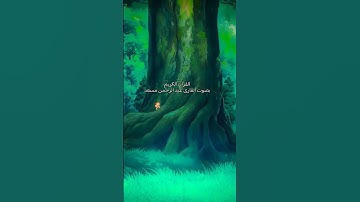 سورة يونس بصوت القارى عبد الرحمن مسعد #عبدالرحمن_مسعد #القرآن_الكريم #قرآن