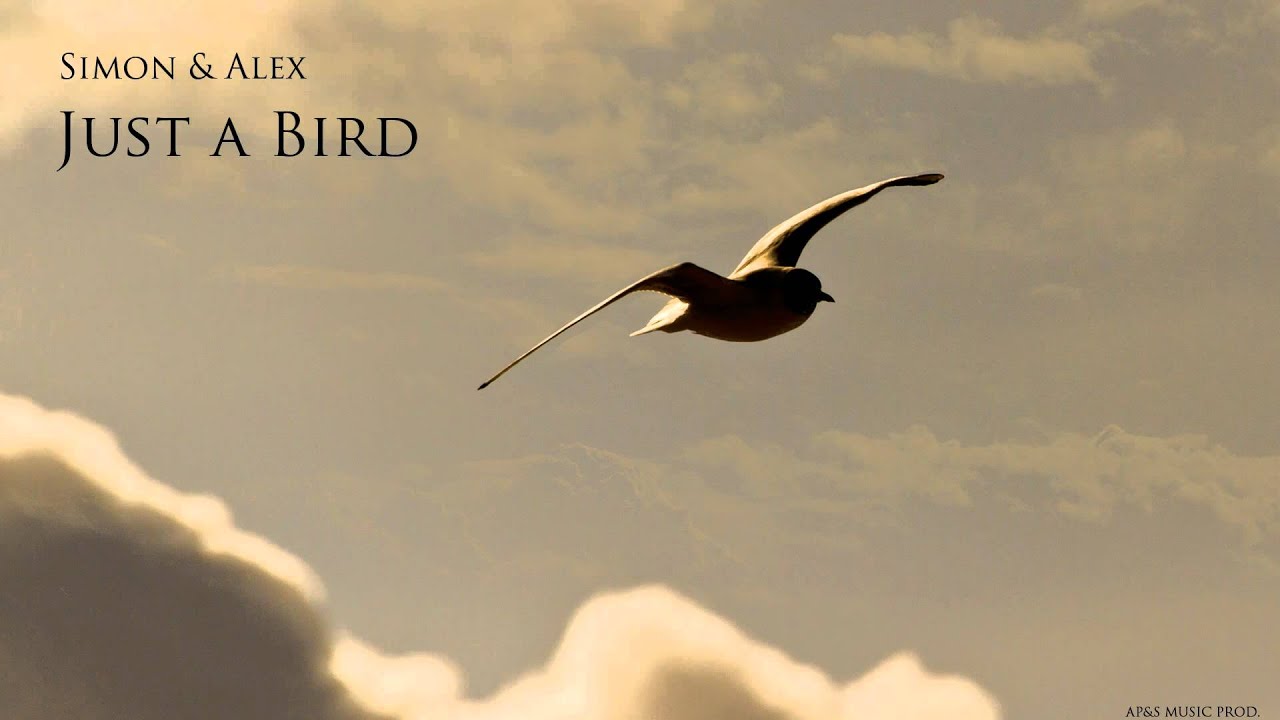 Simon & Alex - Just a Bird (Ap&S Music Prod.)