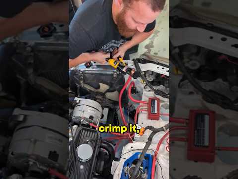 From dead to alive ⚡