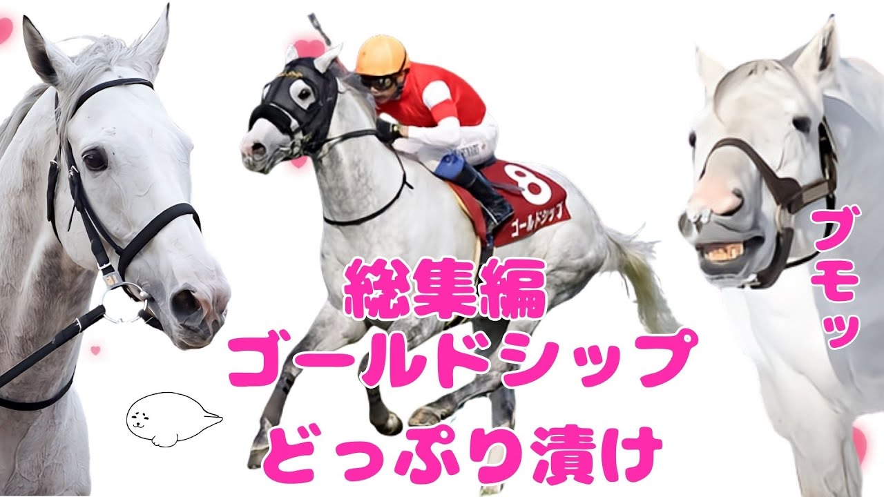 ゴールドシップの魅力とは？ 誰もが一瞬で魅了されてしまうその馬！ Gold Ship #ゴールドシップ #ゴルシ #競馬 #horse #癒し