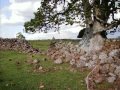 Frontera Uruguay Brasil - Arboles de Piedra -