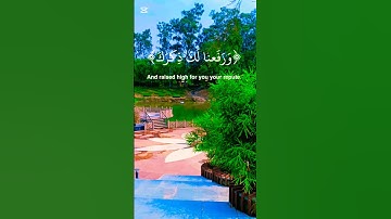 سورة الشرح بصوت جميل للقارئ #اسلام_صبحي #القرآن_الكريم #quran #قرآن