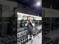 APEX: Hypertrophy Phase Intro