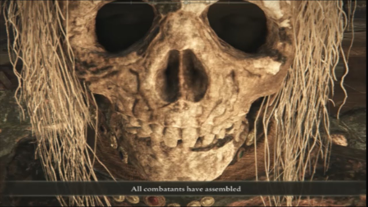 im the guy from dark souls - Elden Ring Cosplay PvP