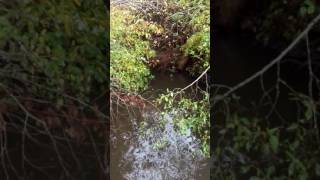 VIDEO0085.mp4