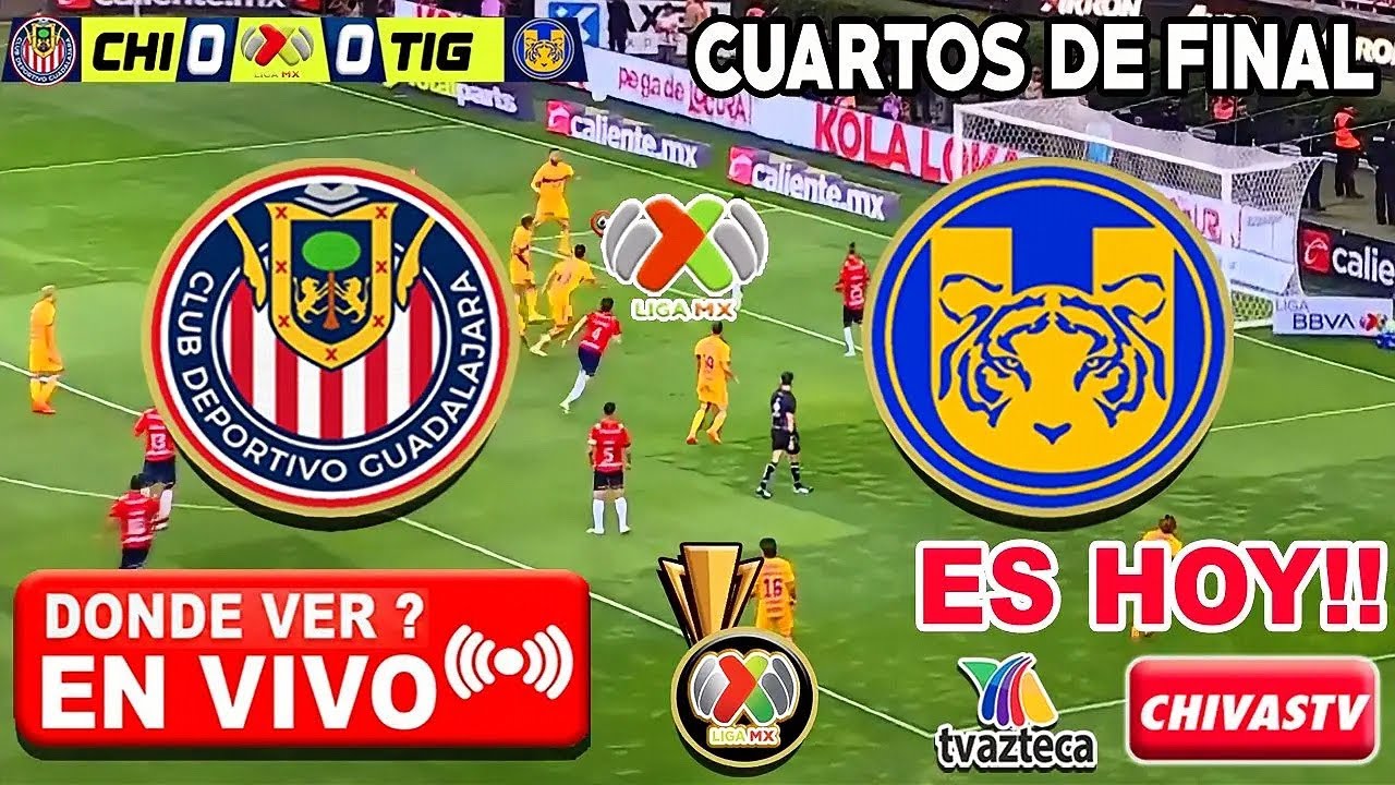 Chivas vs. Tigres EN VIVO | CUARTOS DE FINAL VUELTA | CHIVAS TV | Donde ...