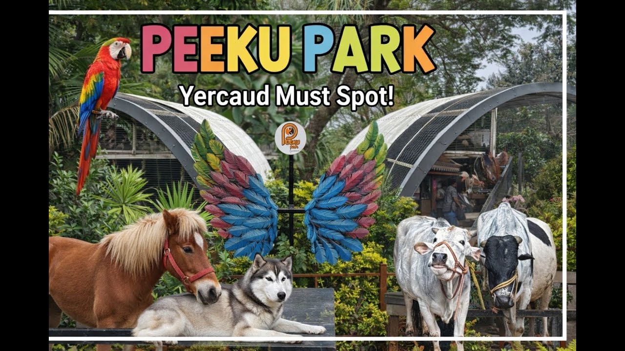 Yercaud Peeku Park 🌿🎡 | Fun Spot in Hills | Scenic Vlog 