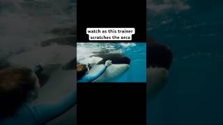 Shocking footage of Trainer HITTING Orca 💔