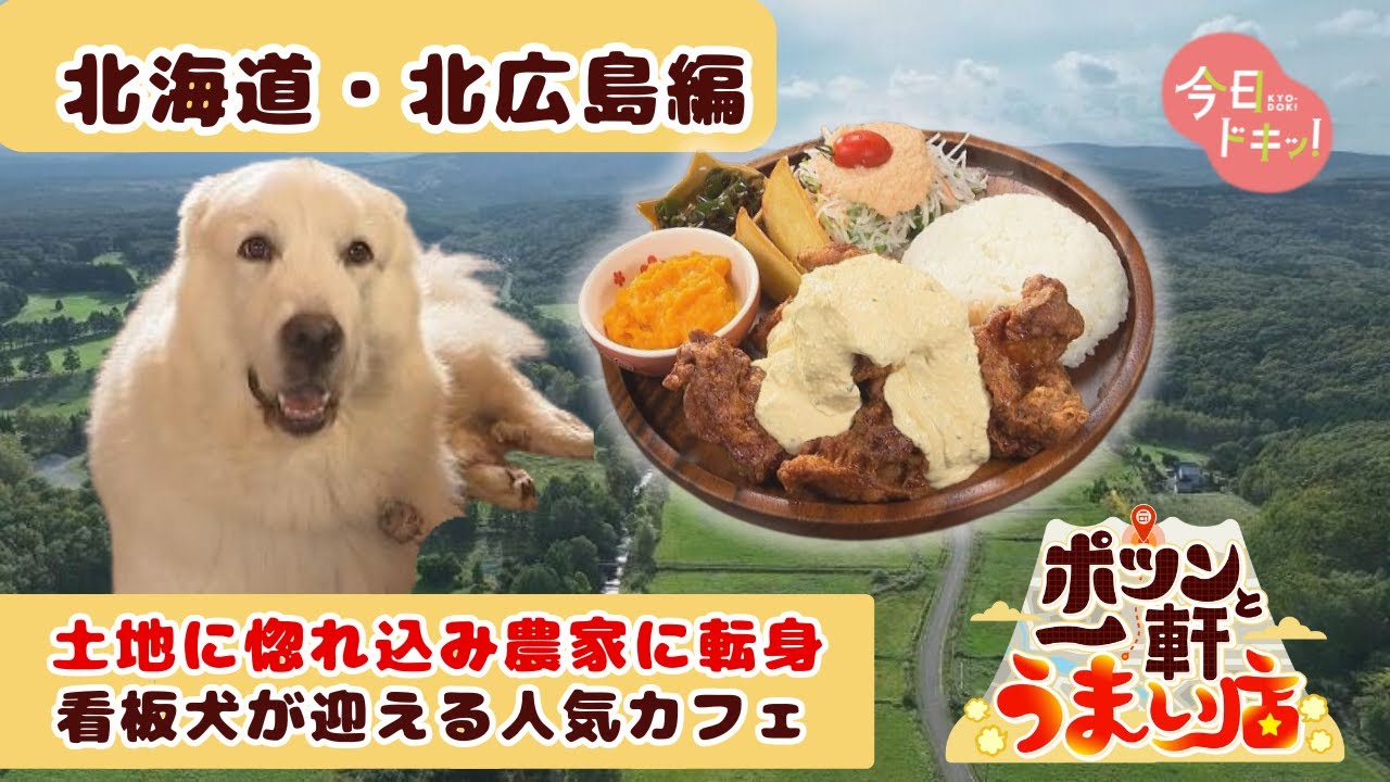 【第15家】「ポツンと一軒うまい店」札幌から車で30分！週末に行きたい農家カフェ（10月9日放送）