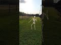 هيكل عظمي يرقص