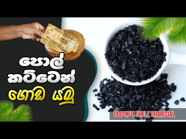how prepare Coconut shel charcoal,  පොල්කටු අඟුරු නිෂ්පාදනය,BST Saman, Bst practical, Biosystems