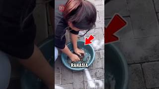 Rahasia menangkap belut 😱 #shorts #faktaunik #faktamenarik