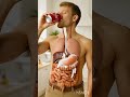3D Human Animation Liquad Flow | #3danimation #humanbody #shortvideo #3d #health