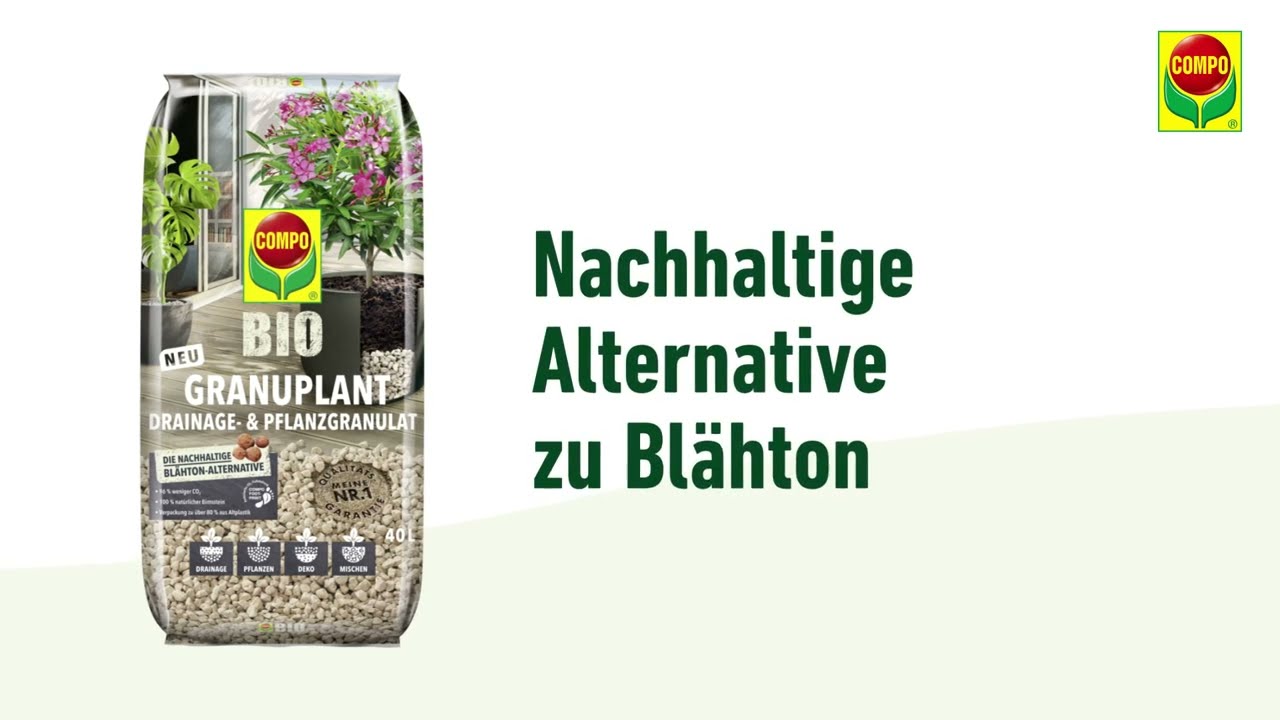 bohnenkraut saatgut BIO Bohnenkraut 