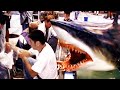 DEEP BLUE SEA Featurette - "Sharks Of The Deep Blue Sea" (1999)