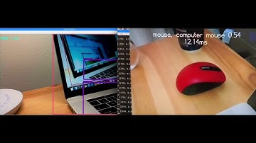 Coral Accelerator how fast, how accuracy it is and how much the use of CPU is with a Raspberry Pi