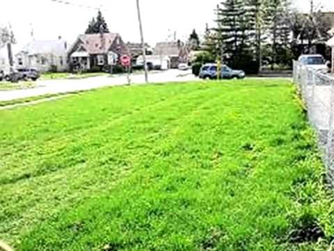 4702 PALMER ST, Dearborn, MI home video tour