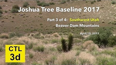 CTL 3D - Joshua Tree Baseline videos 2017 - pt 3 SW Utah Beaver Dam Mtns