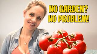 : how to grow tomatoes indoors in the uk. if you're looking uk, on a
windowsill or perhaps sunny window then this...