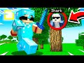 MINECRAFT SPEEDRUNNER VS ASSASSINS!