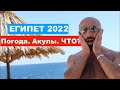 Египет 2021. Туристический Бум! Приплили Акулы к берегу