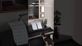 When the cat reads piano notes better than you... #cat #cats #keera #shiro #meowed #tuxedocat