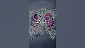 #ولقد_نعلم_أنكَ_يضيق_صدركَ_بما_يقولون #قران_كريم #قرآن #تلاوات_خاشعة #قرآن #تلاوات #آيات