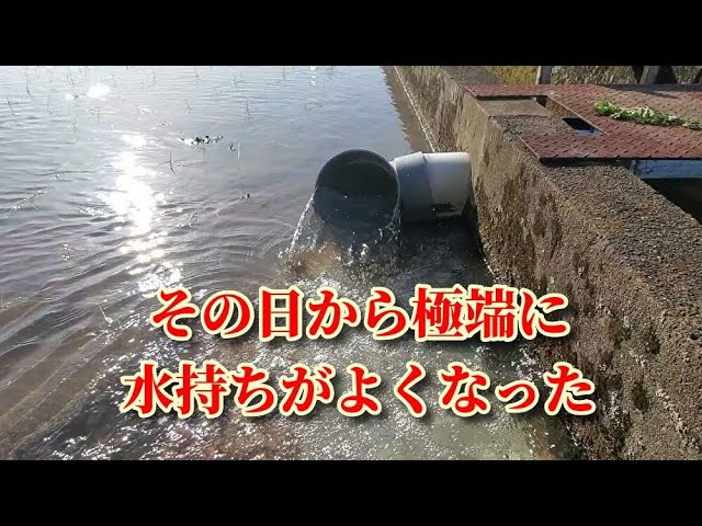 劇的によくなった田んぼの水持ち対策 Youtube