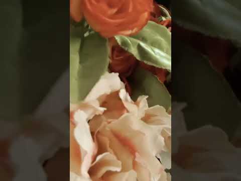 ئێستاش چاوەڕێم بێیتەوە