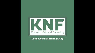 Making Lactic Acid Bacteria (LAB)