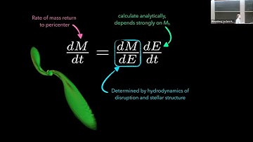 Exploring galactic nuclei with tidal disruption events - Brenna Mockler