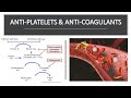 Anti-Platelet and Anti-Coagulant drugs (part 2) in Hindi/Urdu