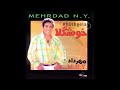 Mehrdad NY Avazehkhoon Official Audio مهرداد نیویورک آوازه خون 